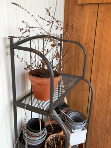 1480393-2 Allen keys, lot, Bahco, Tengtools, Luna - different sizes