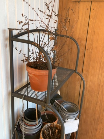 1480393-8 Allen keys, lot, Bahco, Tengtools, Luna - different sizes